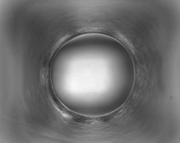 X0000061140107200511181218