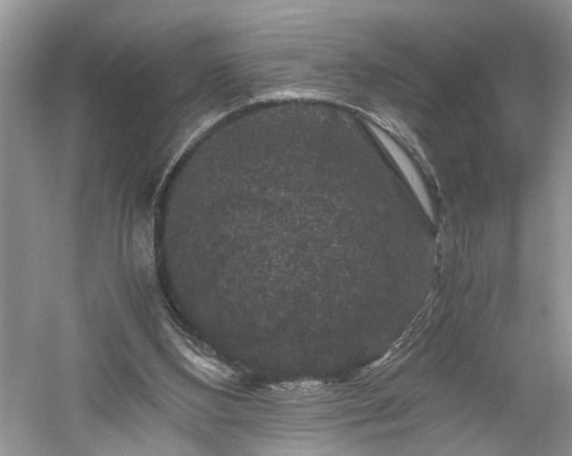 X0000061140108200511181218