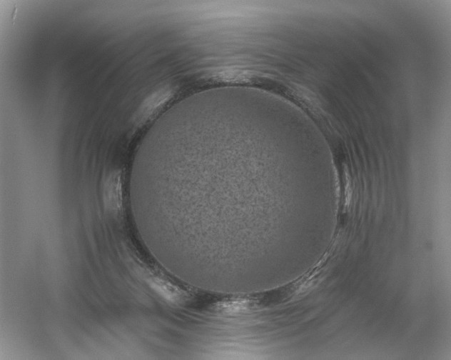 X0000061140120200511181218