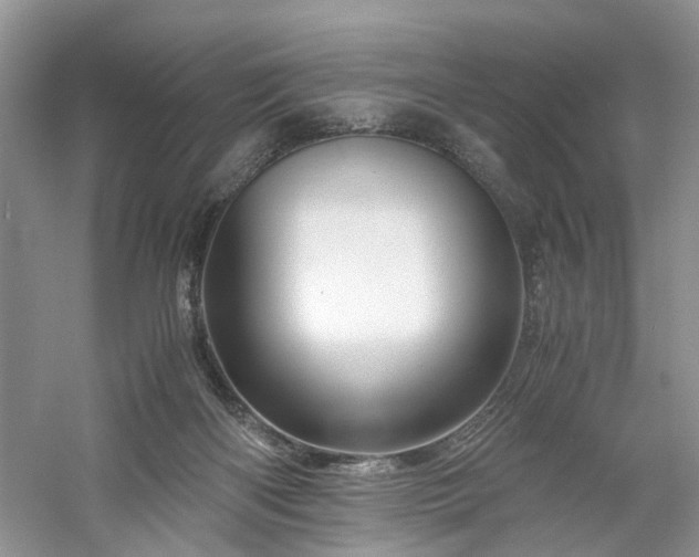 X0000061140122200511181218