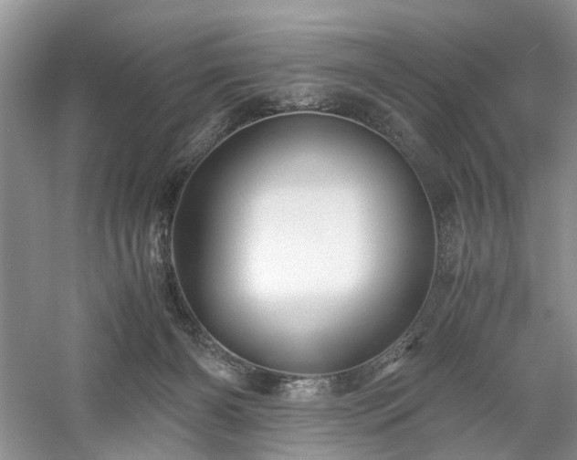 X0000061140126200511181218