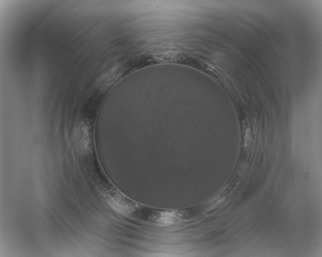 X0000061140130200511181218