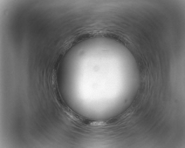 X0000061140133200511181218