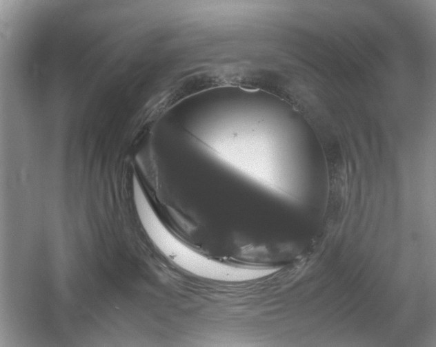 X0000061140139200511181218
