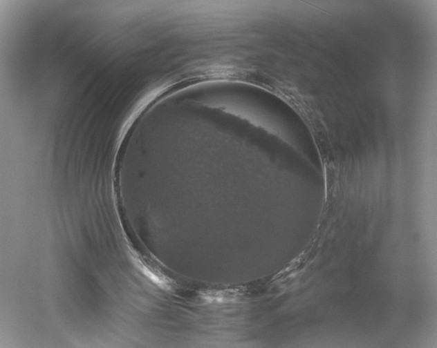 X0000061140147200511181217