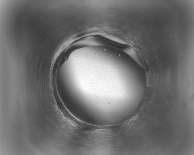 X0000061140150200511181217
