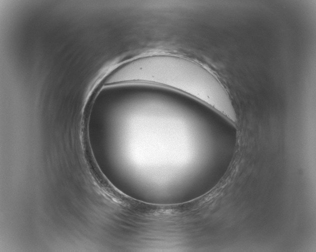 X0000061140152200511181217