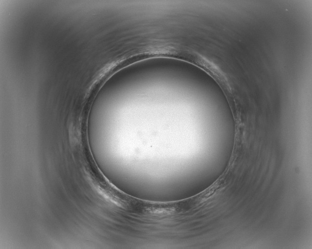 X0000061140155200511181217