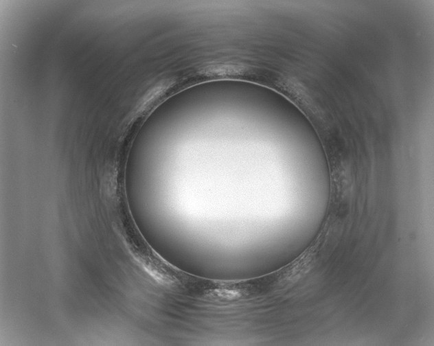 X0000061140159200511181217
