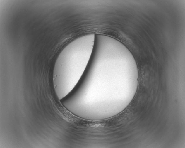 X0000061140161200511181217
