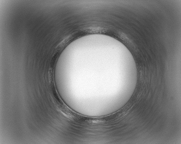 X0000061140165200511181217