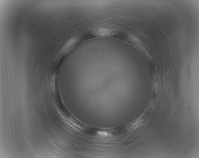 X0000061140167200511181217