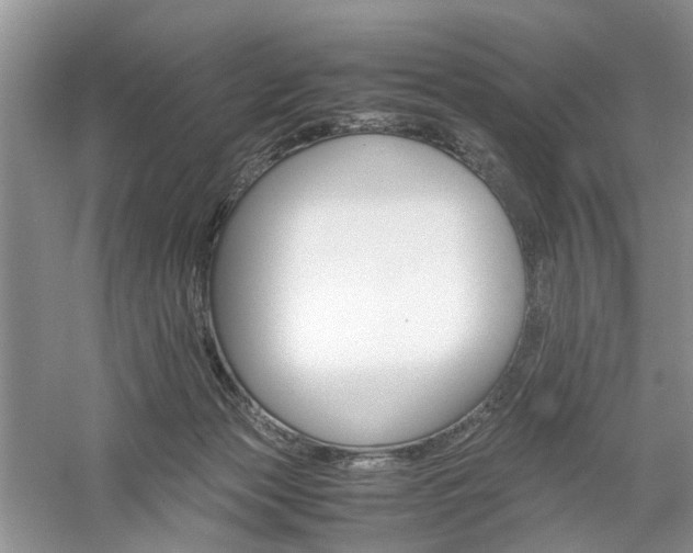 X0000061140173200511181217