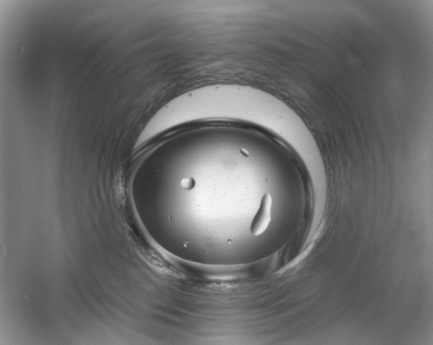 X0000061140186200511181217