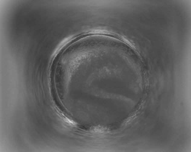 X0000061140199200511181217