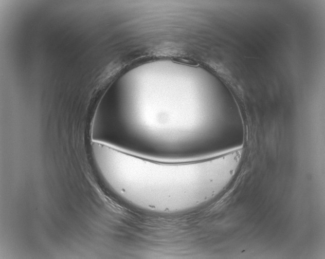 X0000061140201200511181217