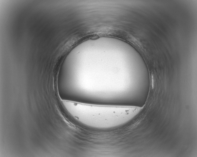 X0000061140205200511181217