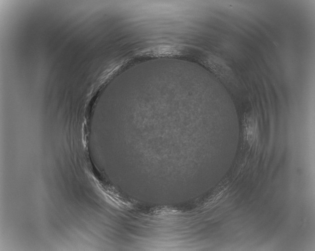 X0000061140206200511181217