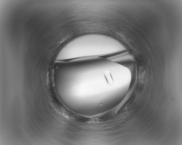 X0000061140211200511181216