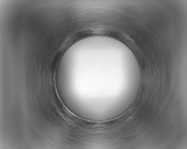 X0000061140213200511181216