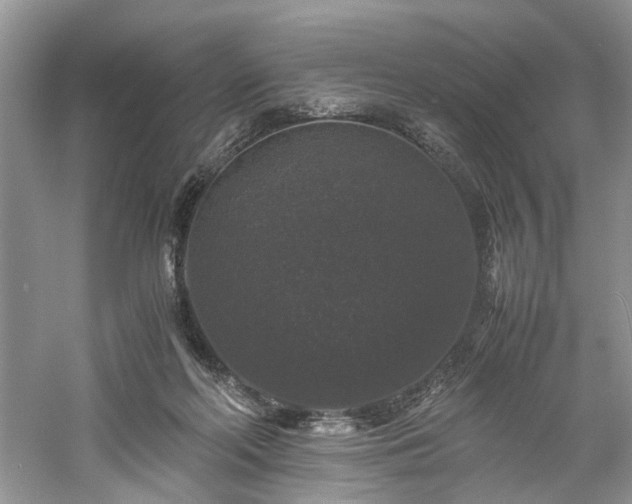 X0000061140214200511181216