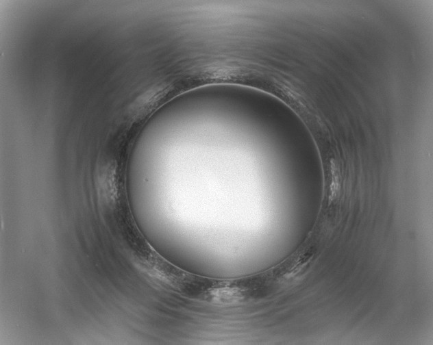 X0000061140216200511181216
