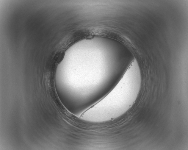 X0000061140217200511181216
