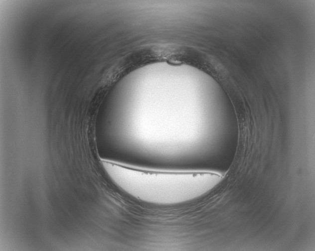 X0000061140221200511181216