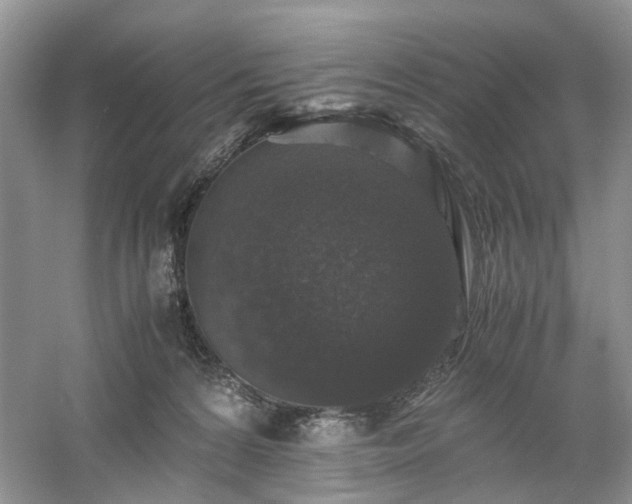 X0000061140224200511181216