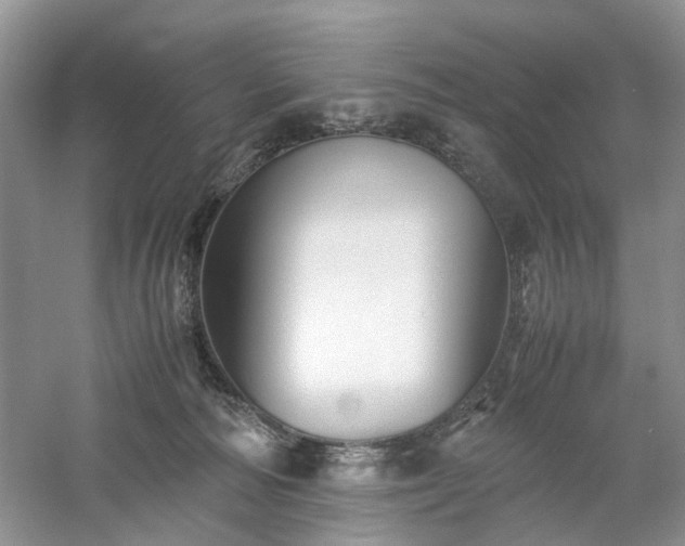 X0000061140226200511181216