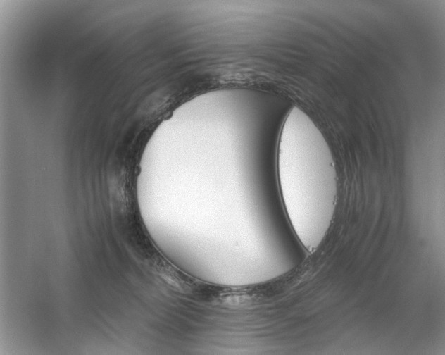 X0000061140228200511181216