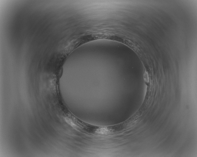 X0000061140231200511181216