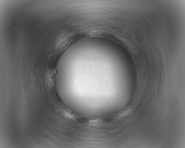 X0000061140240200511181216
