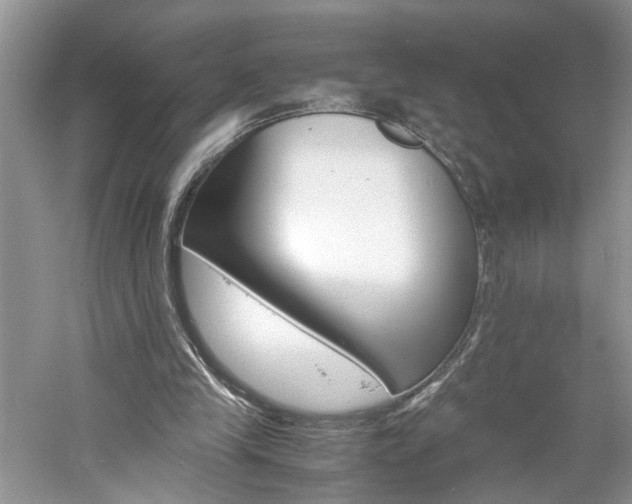X0000061140245200511181215