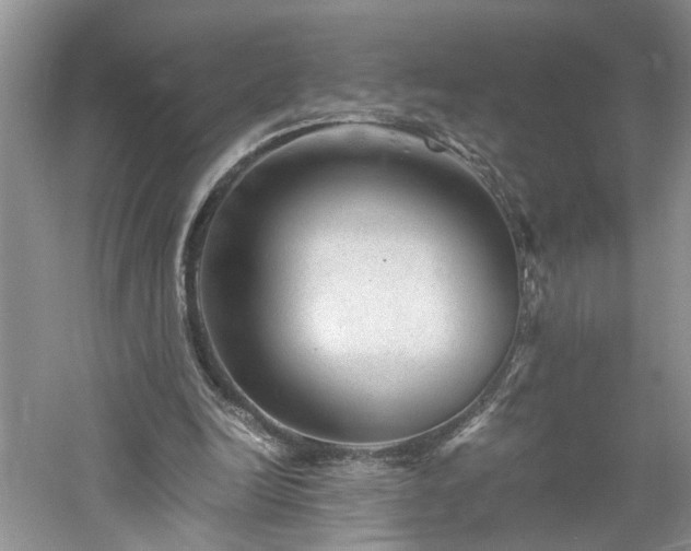 X0000061140246200511181215