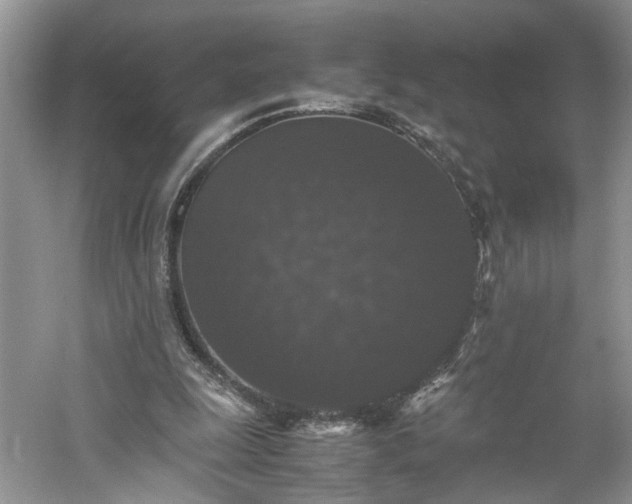 X0000061140247200511181215