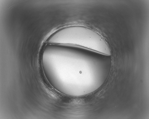 X0000061140248200511181215