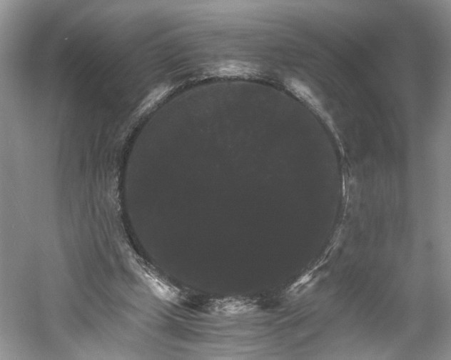 X0000061140249200511181215