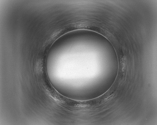 X0000061140255200511181215