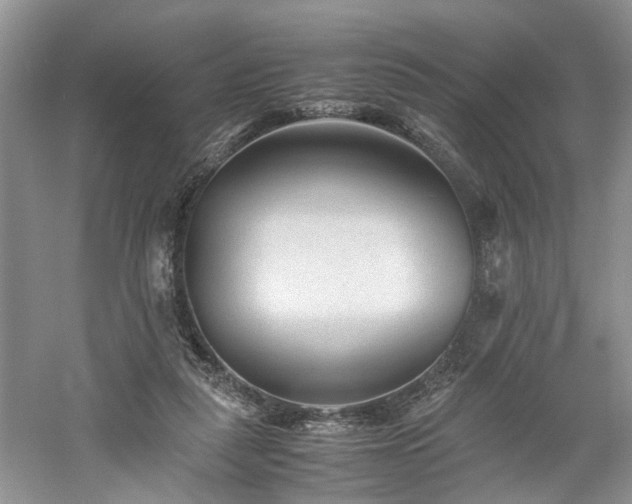 X0000061140259200511181215