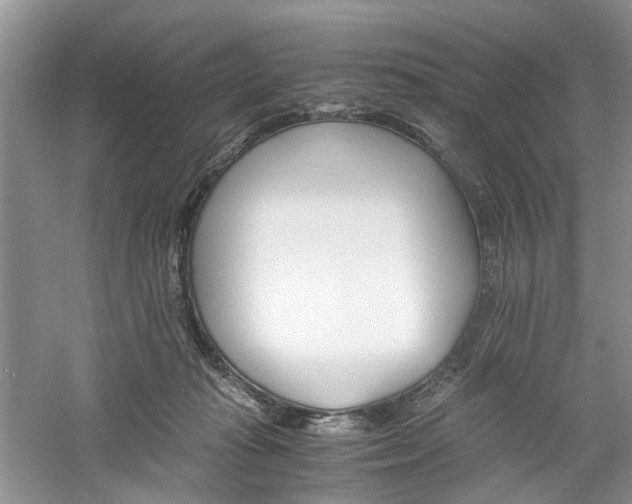 X0000061140269200511181216