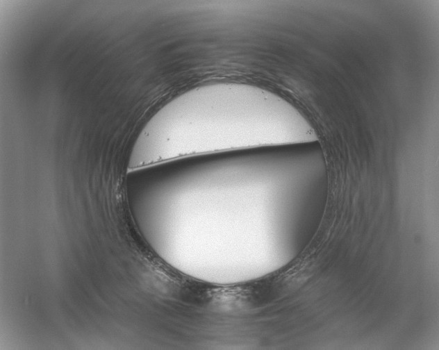 X0000061140273200511181216