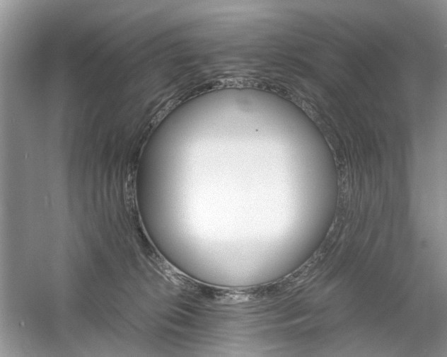 X0000061140276200511181216