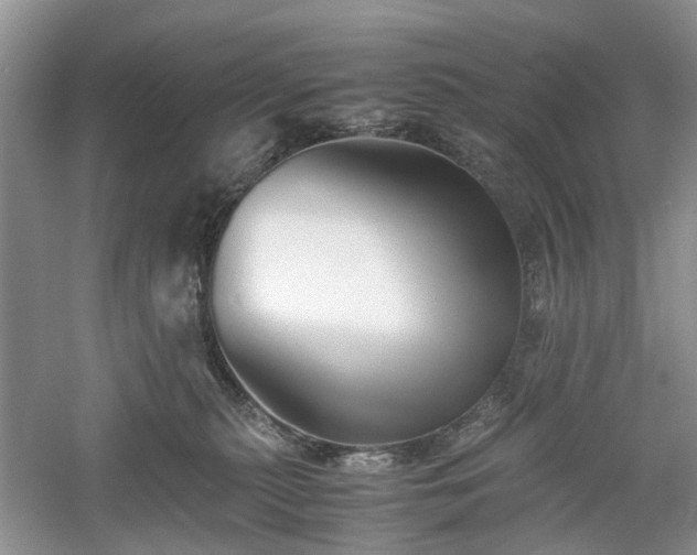 X0000061140279200511181216