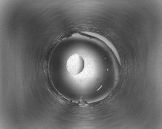 X0000061140280200511181216