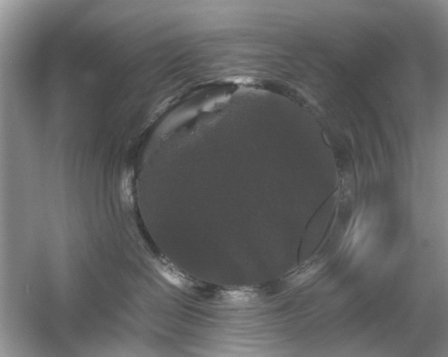 X0000061140286200511181216