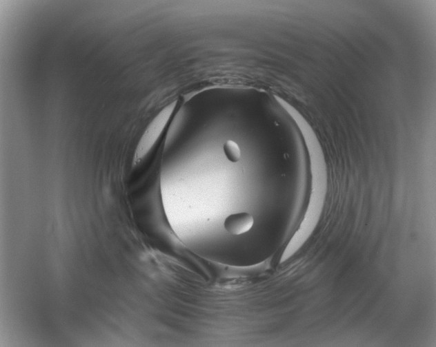 X0000061140287200511181216