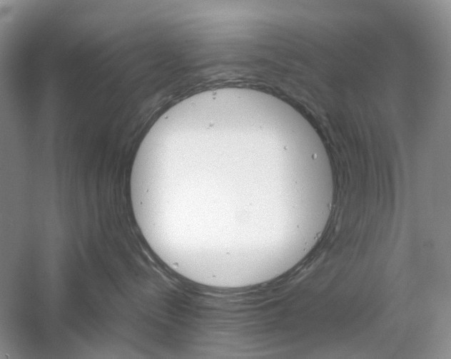 X0000061140288200511181216