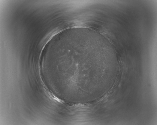 X0000061140290200511181215