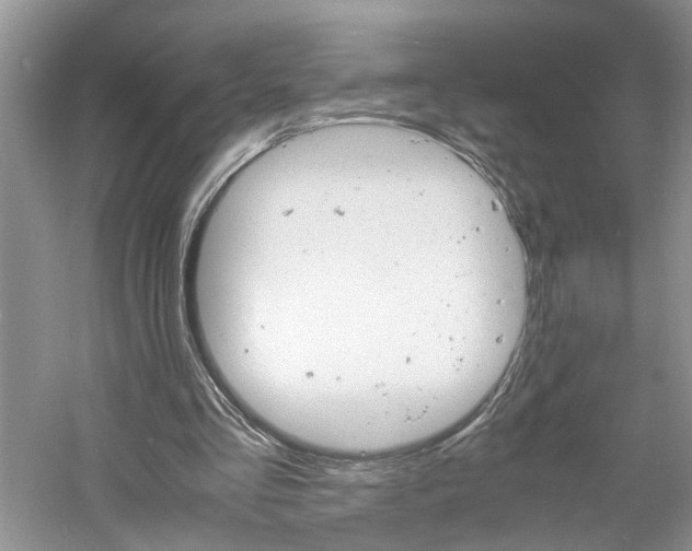 X0000061140293200511181215